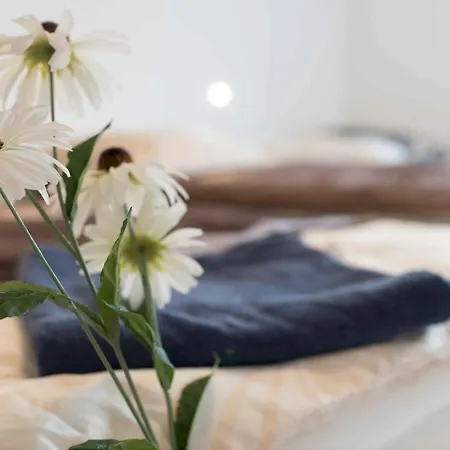 Work And Balcony Appartamento *