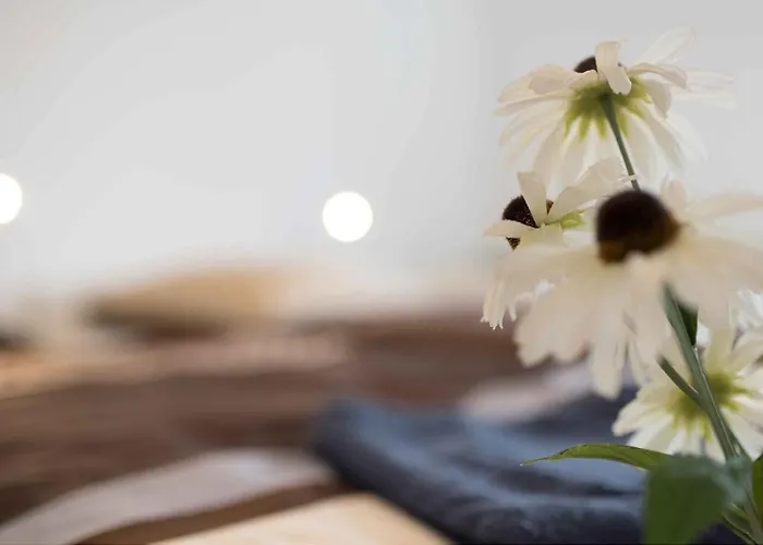 Apartment Work And Balcony Dusseldorf