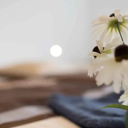 Daire Work And Balcony Düsseldorf